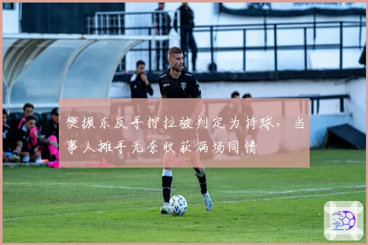樊振东反手拧拉被判定为持球,当事人摊手无奈收获满场同情