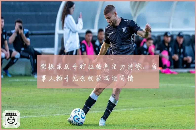 樊振东反手拧拉被判定为持球,当事人摊手无奈收获满场同情
